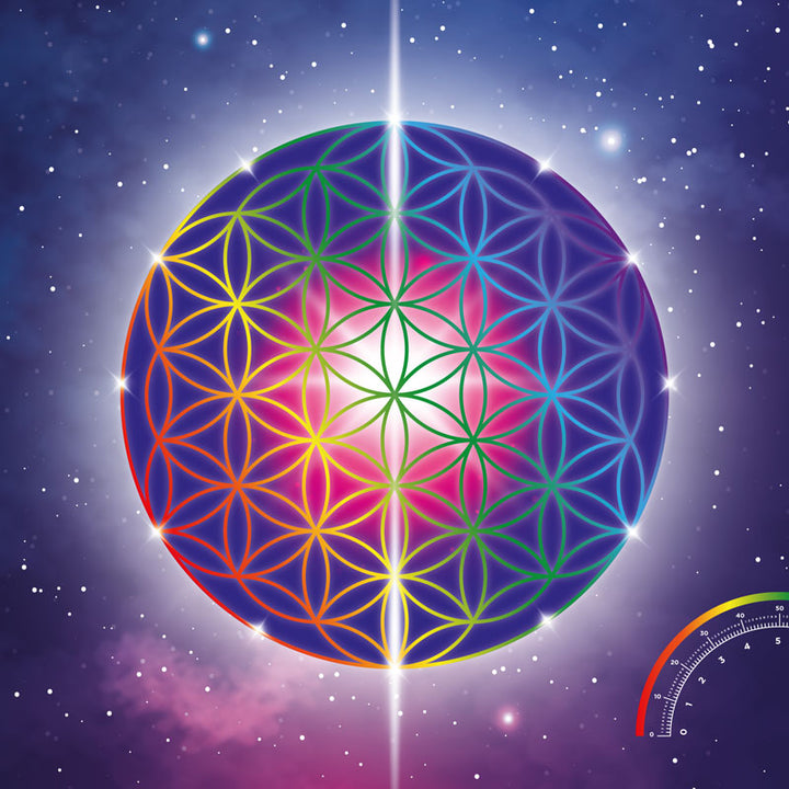 Enlighten Bundle - 3 sessions