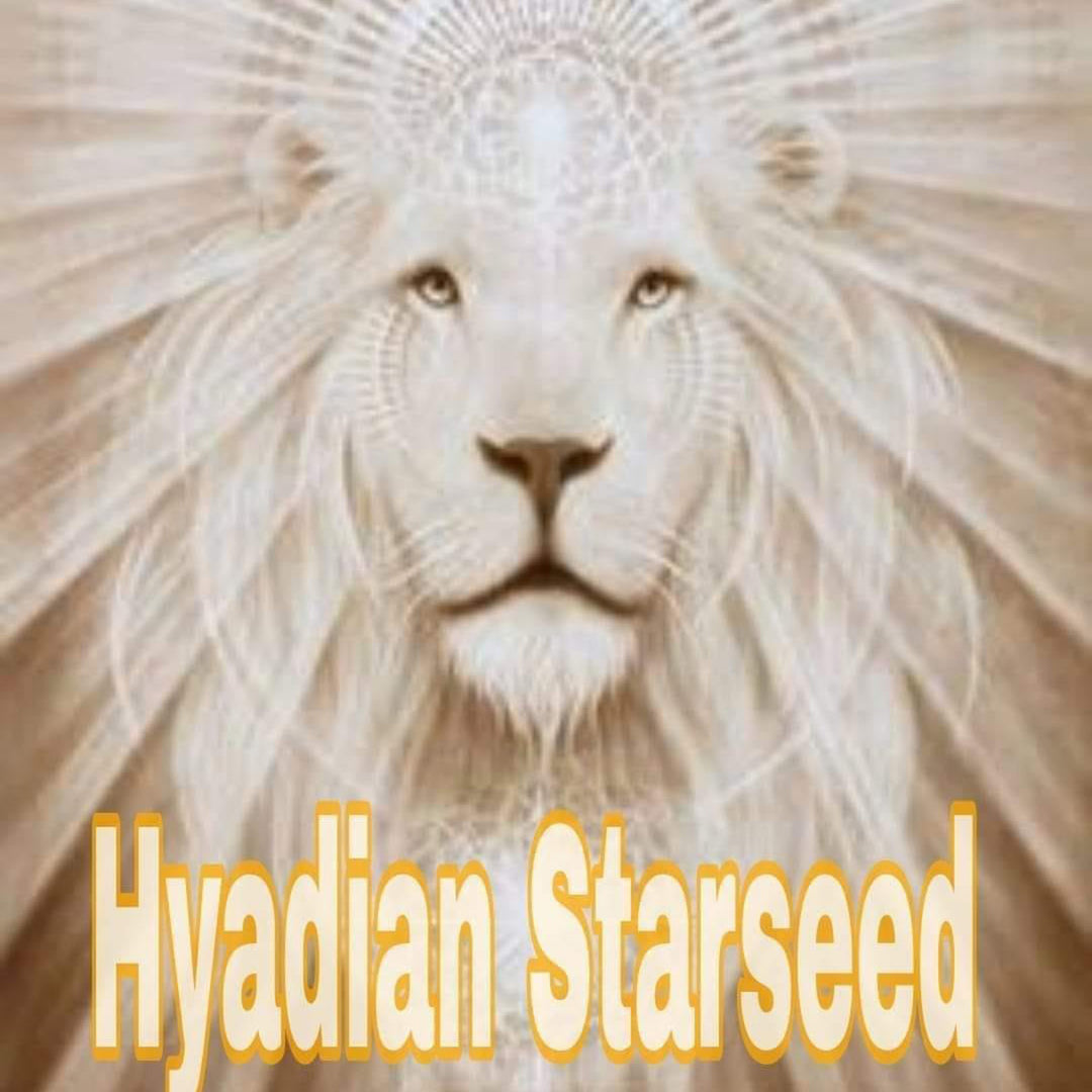 Starseed Origins Reading
