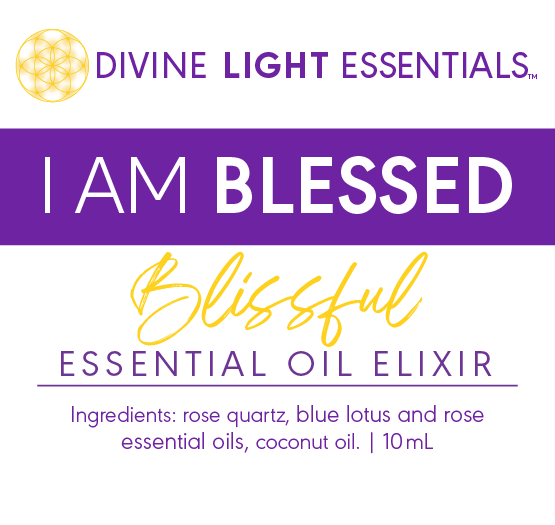 I Am Blessed Kit -Aromatherapy - Self-love - Crystal Jewelry - Crystals - Essential Oil Elixirs