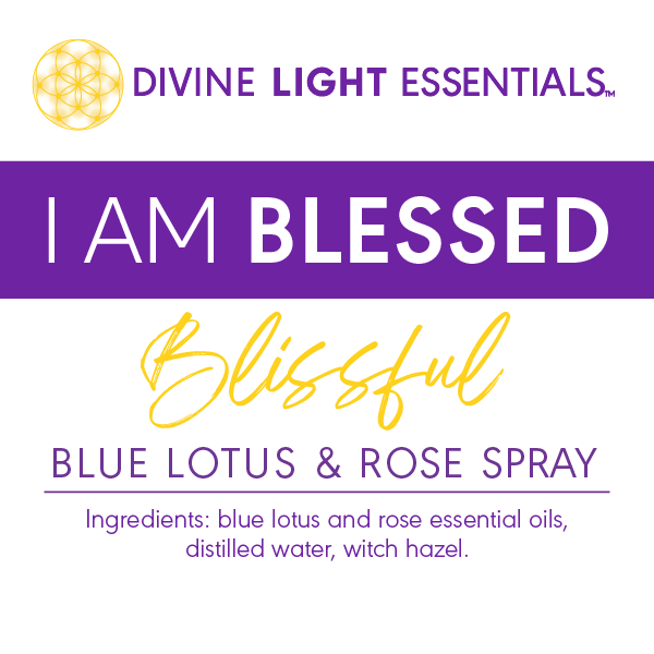 I Am Blessed Kit -Aromatherapy - Self-love - Crystal Jewelry - Crystals - Essential Oil Elixirs