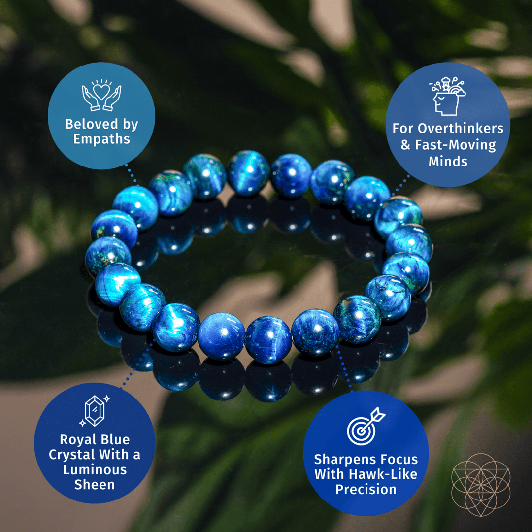 Hawk’s Focus – Royal Blue Tiger’s Eye Bracelet