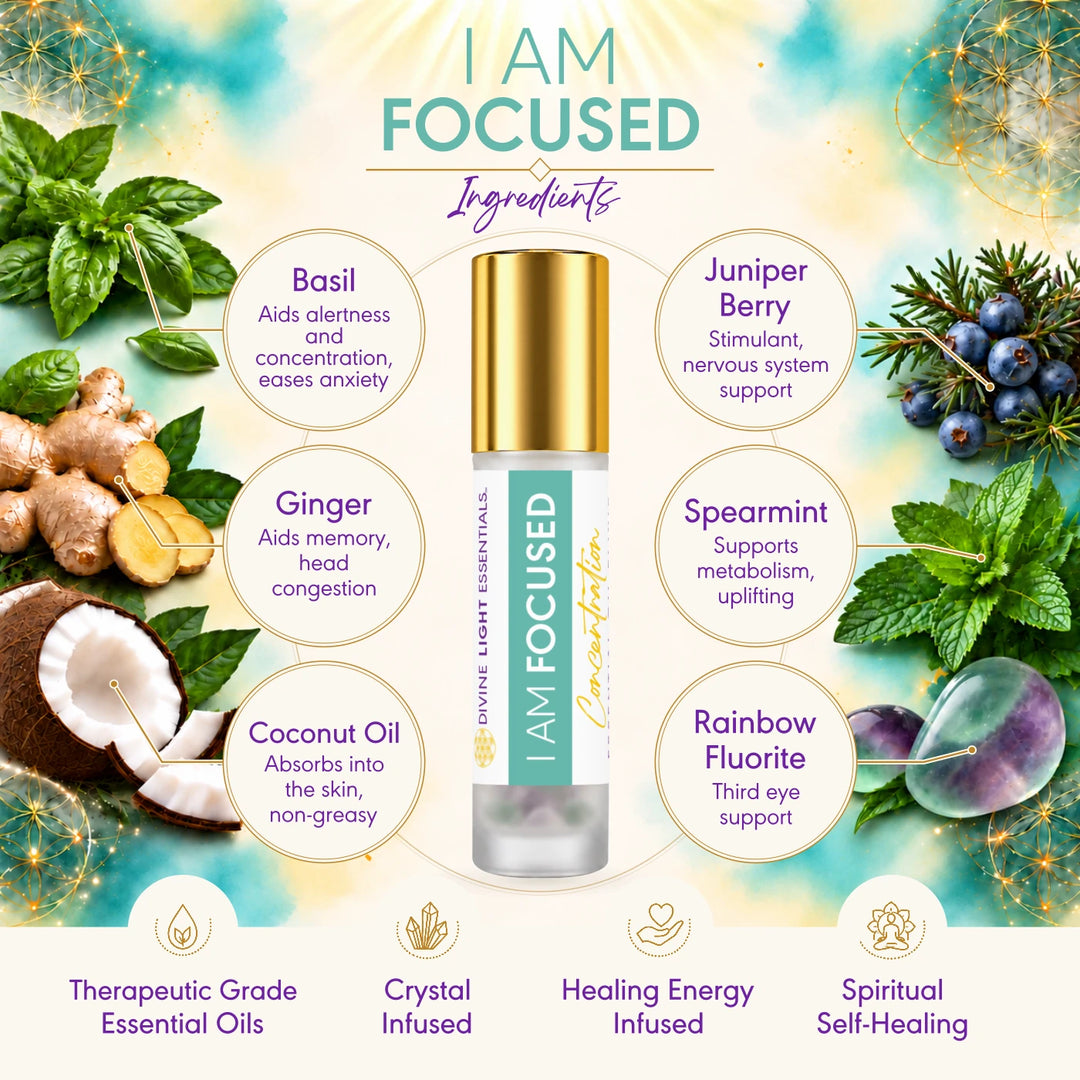 I Am Focused ingredients card showing featured botanicals, coconut oil and rainbow fluorite around the roller bottle.