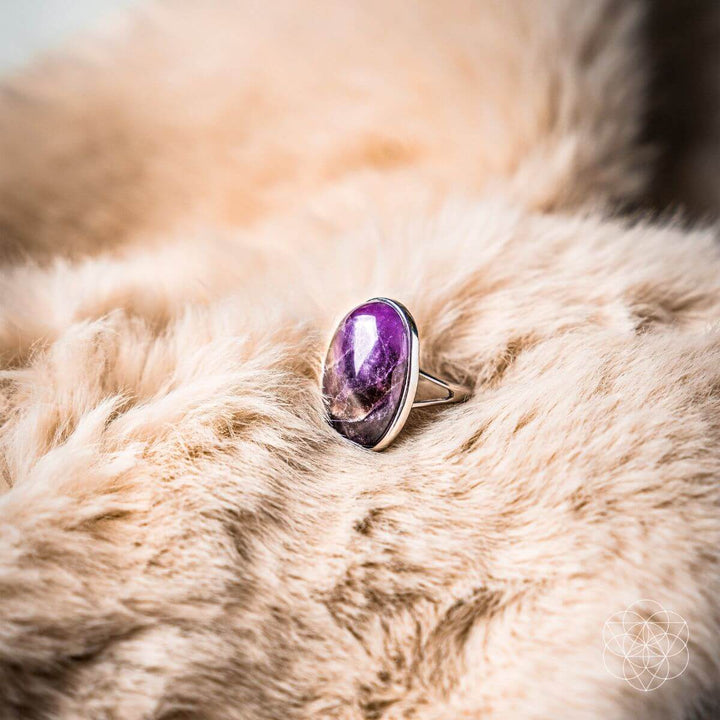 The Visualization Ring